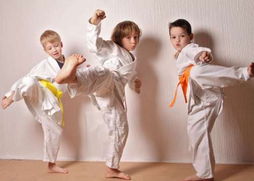 Progetto Arcipelago Educativo - Karate d\'inciampo