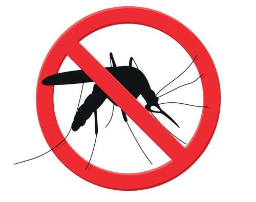 Intervento straordinario di disinfestazione per prevenzione Virus Dengue in alcune aree del territorio