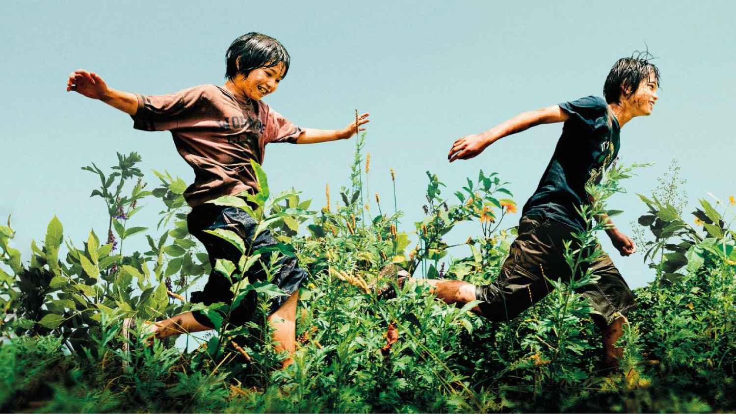 Proiezione del film \